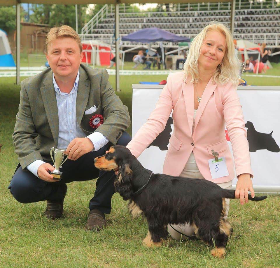 Best puppy in show: Roxicocker Galway Girl